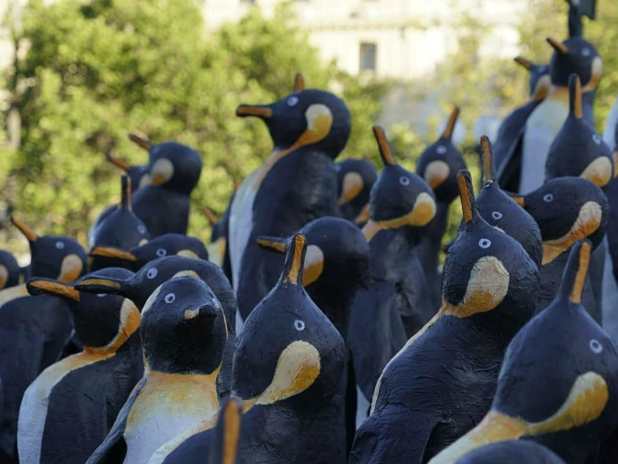 Pingüinos en Plaza Italia