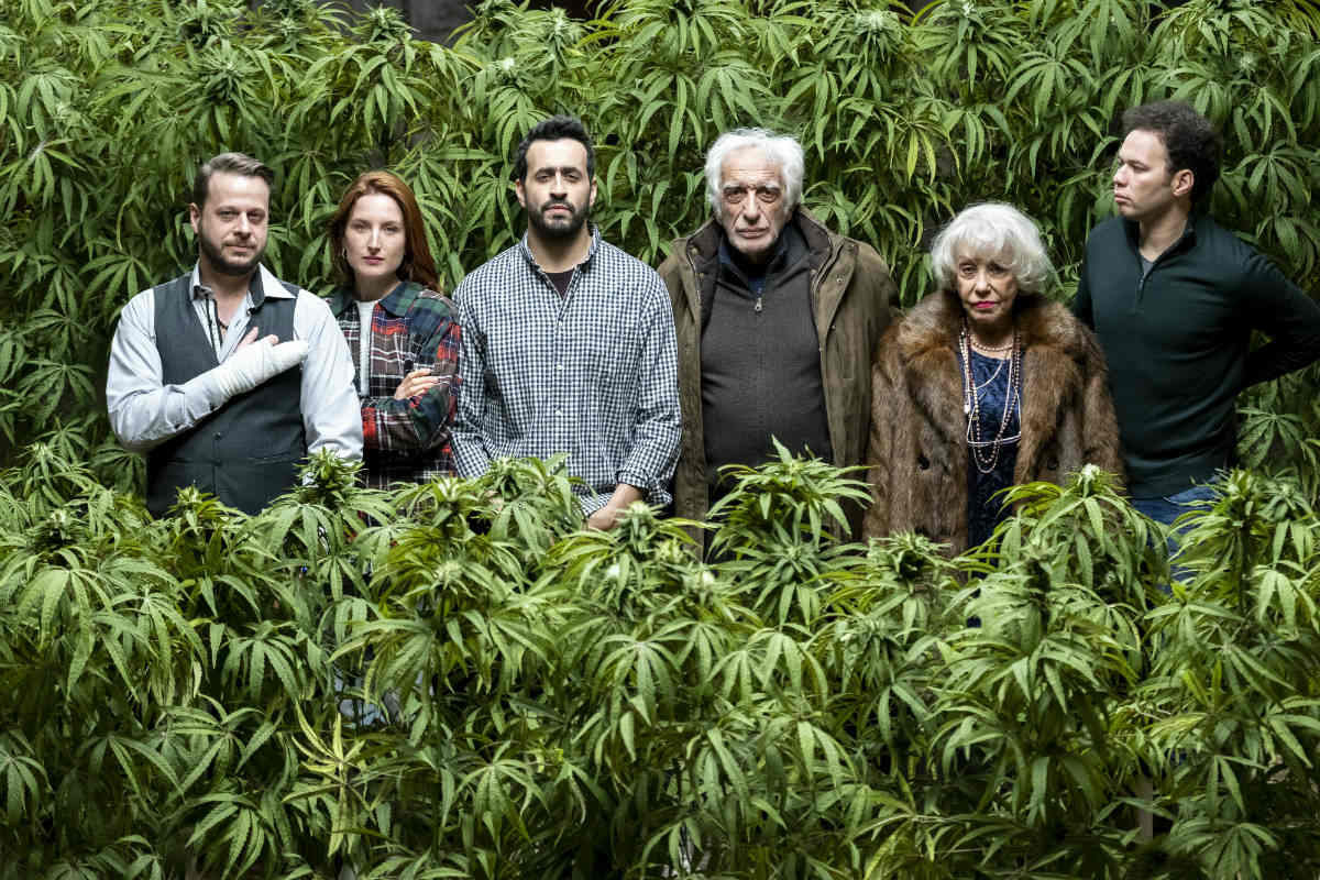 Family Business Netflix Legaliza El Cannabis En Nueva Comedia Francesa