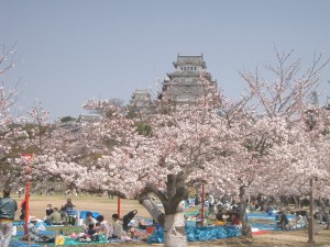 Celebra el festival japonés de Los Cerezos