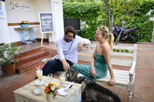 Mascotas aceptadas: tres cafés pet friendly en Santiago