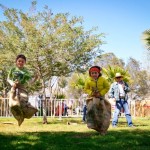 Fiesta chilena en un parque porteño