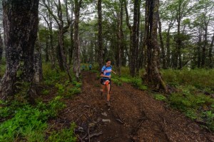 Correr por la selva valdiviana