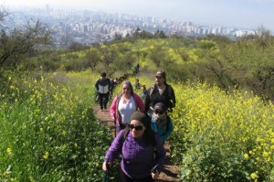 Aprender de trekking en el Parque Metropolitano