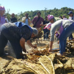 Fiesta de carpinteros en Ancud