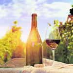 Degustar vinos australes en Villarica