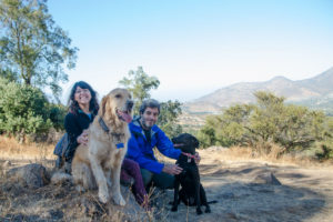 Salir de trekking al cerro Manquehuito con perros
