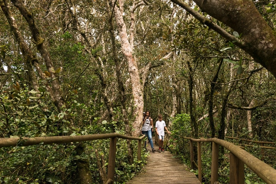 Parque Nacional Fray Jorge