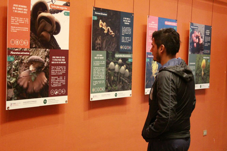 Museo de Historia Natural de Valparaíso