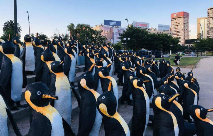¿Por qué hay un millar de pingüinos en Plaza Italia?