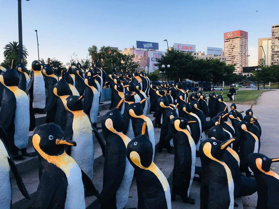¿Por qué hay un millar de pingüinos en Plaza Italia?