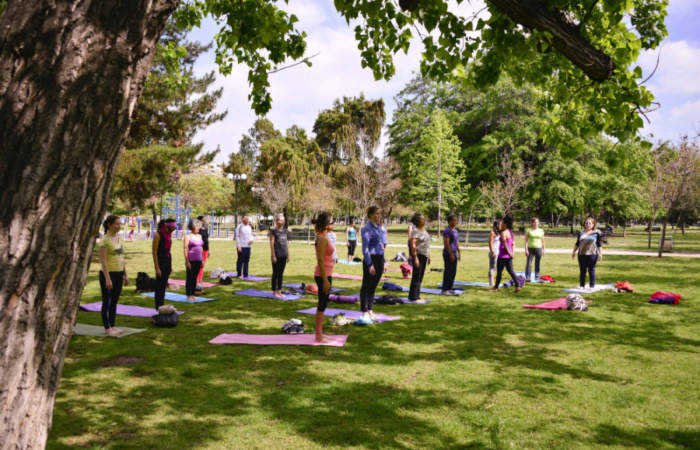 Las dinámicas clases de yoga en los parques santiaguinos