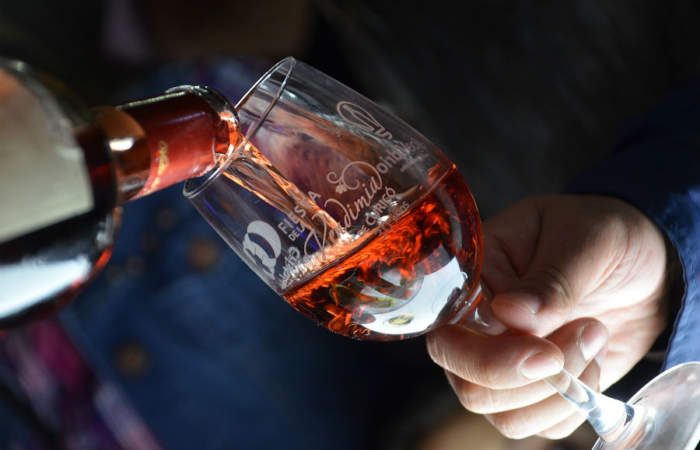 ¡Salud por el vino! Guía con las fiestas de la vendimia 2020 a lo largo de Chile