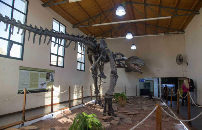 El museo donde puedes ver el dinosaurio carnívoro más grande del mundo