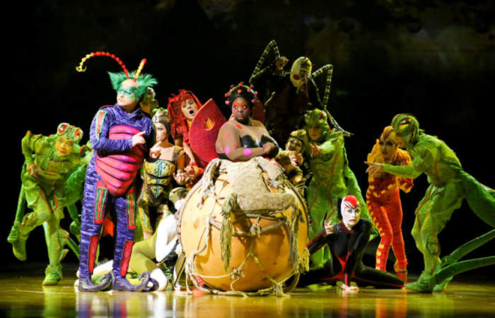 Así es Ovo, la espectacular obra del Cirque du Soleil que acaba de agregar nuevas localidades