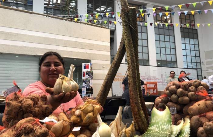 Feria Chiloé Mujer: Cuatro días para probar sabores chilotes en pleno Providencia