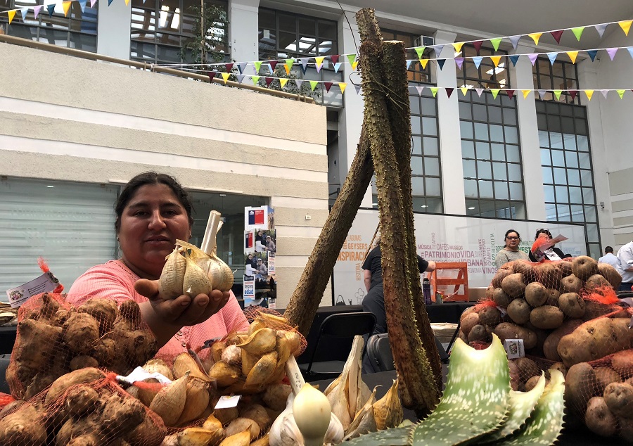 Feria Chiloé Mujer: Cuatro días para probar sabores chilotes en pleno Providencia