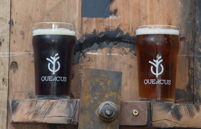 Quercus, el bar de Viña del Mar con irresistibles y premiadas cervezas artesanales