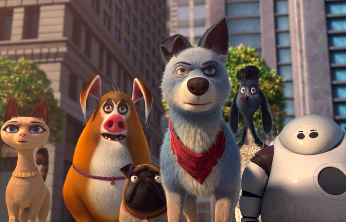 Viaje Gracias por tu ayuda Agente de mudanzas Mascotas Unidas: una película animada para los más pequeños en Netflix
