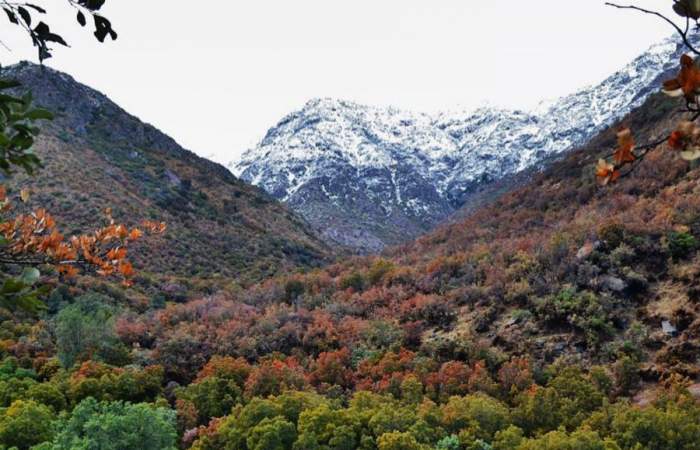 La Quebrada De Macul Reabre Con Mximo De 250 Personas Por Da