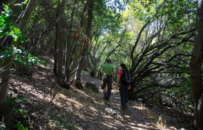 El Parque Nacional Río Clarillo reabre sus naturales senderos en Pirque