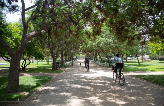 Fundación Mi Parque: “La pandemia nos hizo ver la importancia de las plazas”