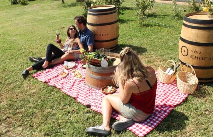 11 viñas cerca de Santiago que los amantes del vino no pueden dejar de visitar