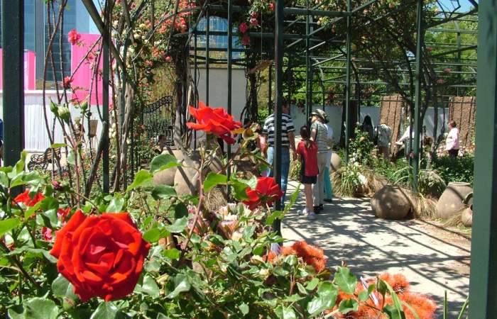 El Festival de la Rosa vuelve a florecer en el Parque Araucano
