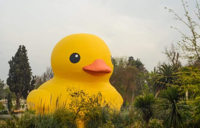 El pato de hule gigante vuelve a Santiago: ahora se podrá ver en el Parque de la Familia
