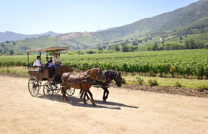 La viña chilena que está en el Top 5 de las mejores para visitar en el mundo