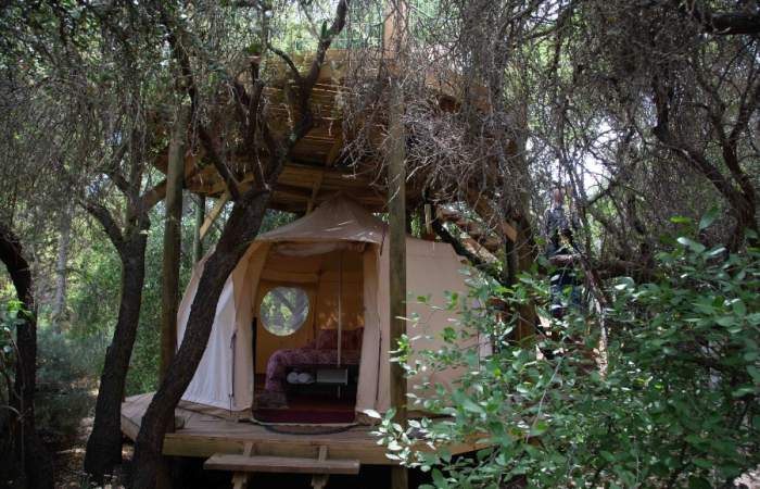 El mágico glamping ecomigable y en medio de un bosque cerca de Santiago que puedes arrendar por Airbnb