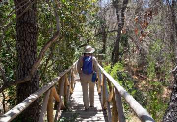Altos de Cantillana: la reserva natural a una hora de Santiago que es un tesoro de la biodiversidad