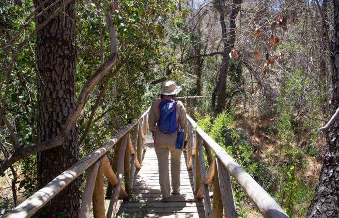 Altos de Cantillana: la reserva natural a una hora de Santiago que es un tesoro de la biodiversidad