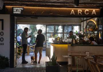Arca: el bar pet friendly y con una terraza que es un verdadero oasis urbano
