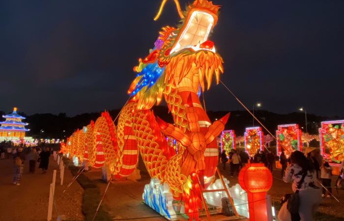 Fesiluz: el increíble festival de luces chinas que llegó a Concepción