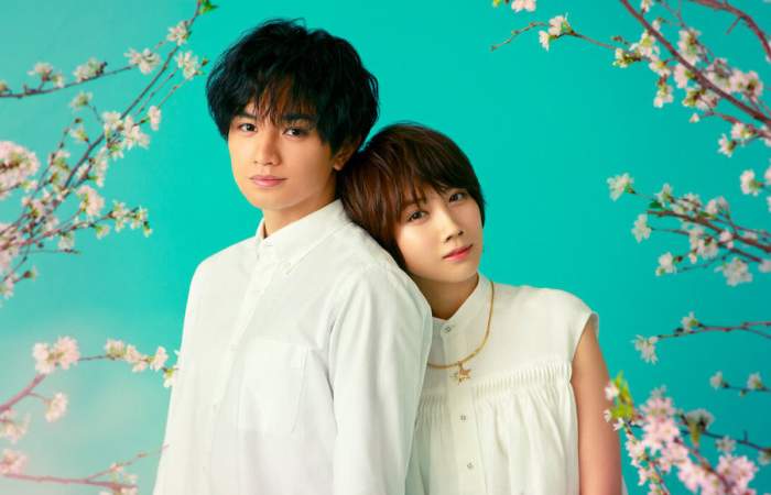 Efímera como la sakura: el romántico y conmovedor drama japonés de Netflix