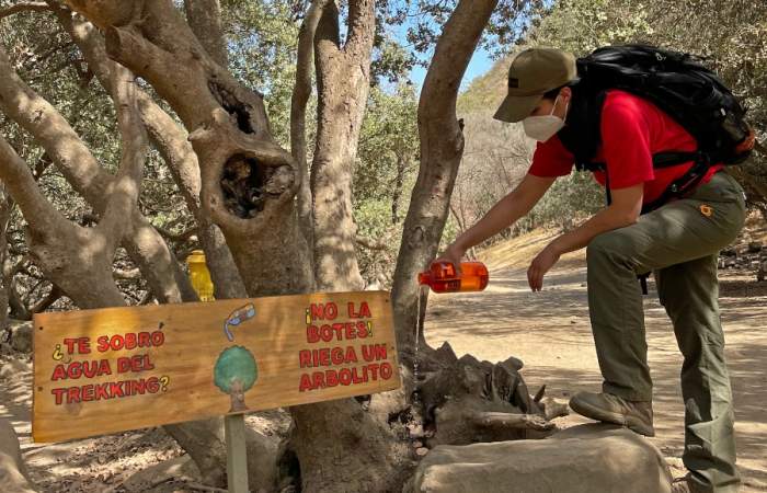 ¿Te quedó agua del trekking? Riega un árbol: Parque Quebrada de Macul lanza campaña para concientizar sobre crisis hídrica