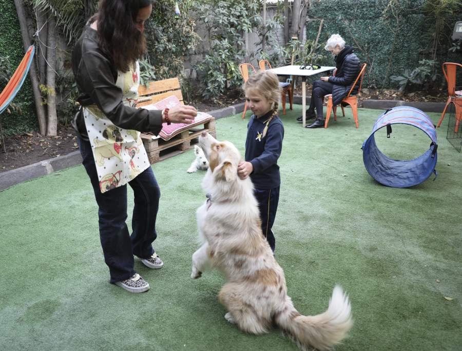 Bigotes Pet Store & Coffee: la cafetería favorita de los amantes de los perros