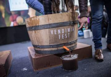 Vendimia Fest 2023: vuelve la fiesta del vino en las calles de barrio Italia