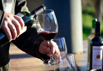 Así será la fiesta gratuita del Día del Vino que traerá a las viñas del valle del Maipo al centro de Santiago