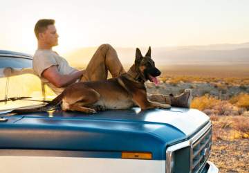 Dog: un viaje salvaje, el entrañable debut de Channing Tatum en la dirección