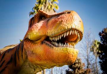 Parque Jurásico San Bernardo: la muestra de dinosaurios animatronics que se puede ver gratis en vacaciones