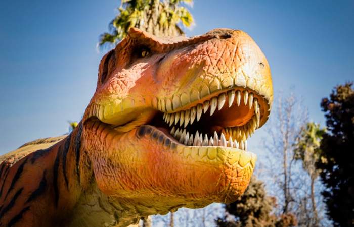 Parque Jurásico San Bernardo: la muestra de dinosaurios animatronics que se puede ver gratis en vacaciones