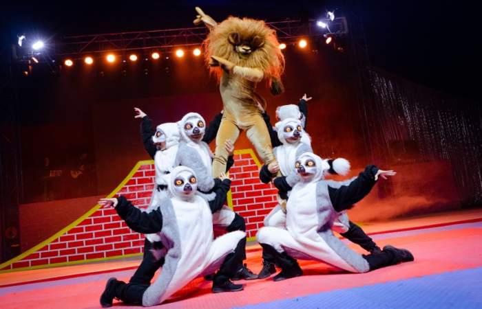 De Madagascar al Intercomunal: el salvaje show que une teatro y circo en el Parque Padre Hurtado