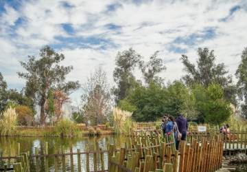 25 parques para hacer ejercicios, tomar aire fresco y contemplar la naturaleza en Santiago