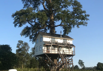 Casa en un árbol Airbnb