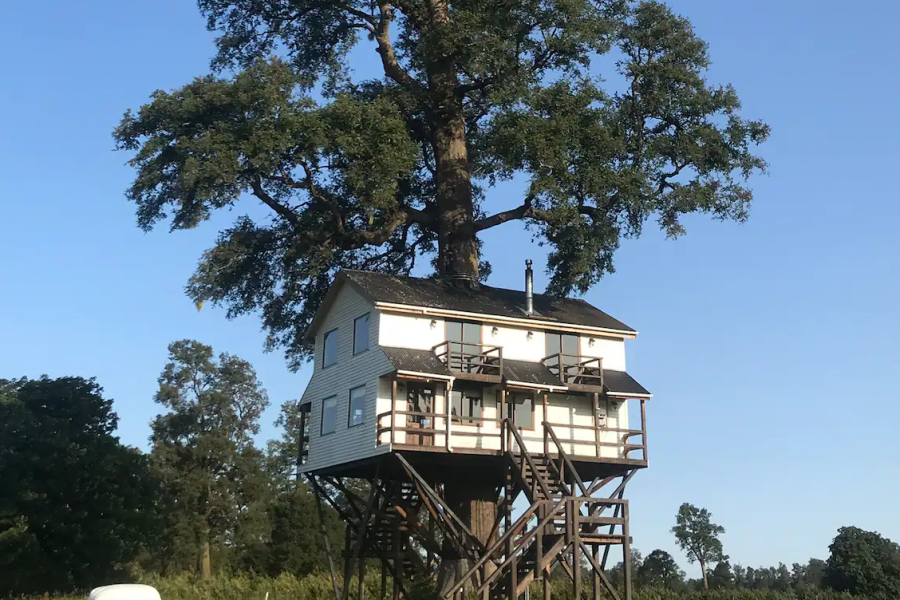 Casa en un árbol Airbnb