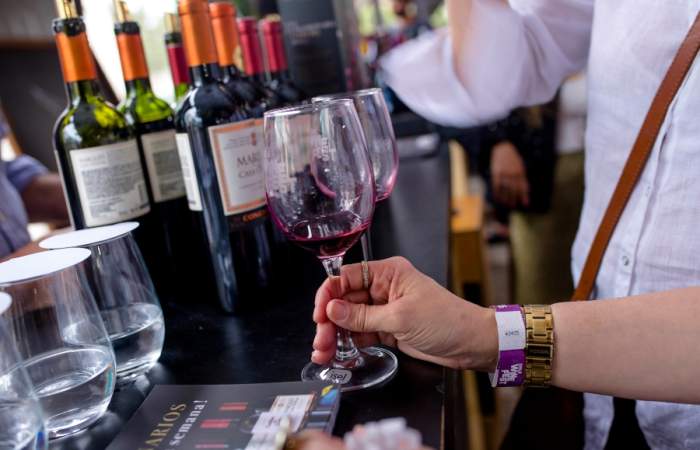 Chile Wine Fest: la fiesta con degustación ilimitada de vinos en el Parque Bicentenario
