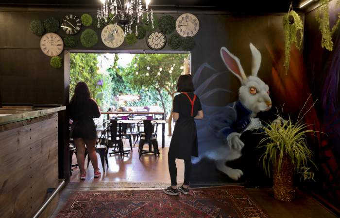 Alicia Restaurante: el nuevo local de barrio Bellavista inspirado en Alicia en el País de las Maravillas
