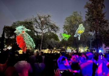Proviluz: el espectáculo de luces gratuito que ilumina el Parque de las Esculturas