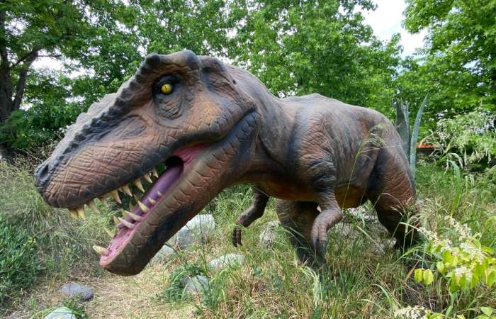 Un parque con dinosaurios animatronics es la nueva atracción de Buin Zoo